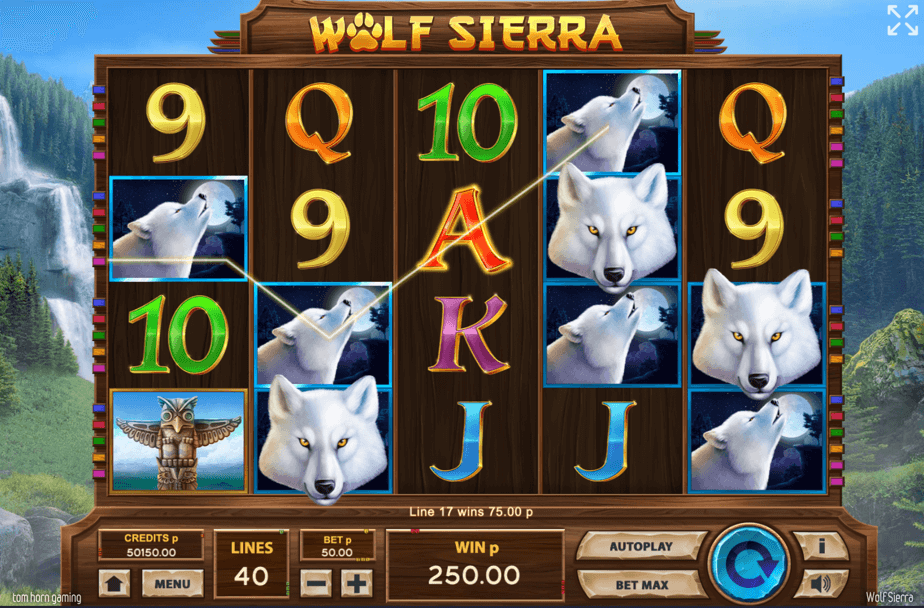 Игровой автомат Wolf Sierra